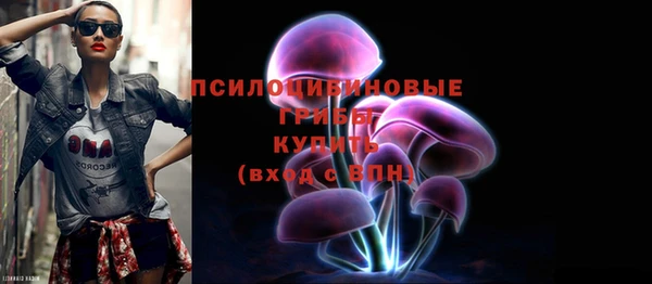 шишки Армянск