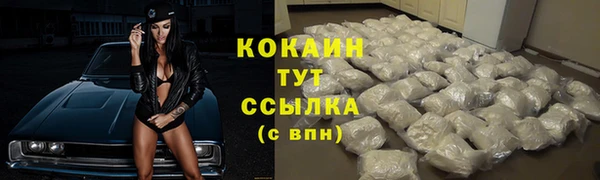 шишки Армянск