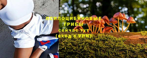 шишки Армянск