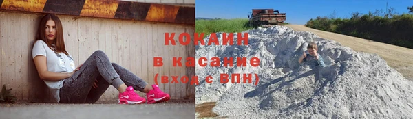 шишки Армянск
