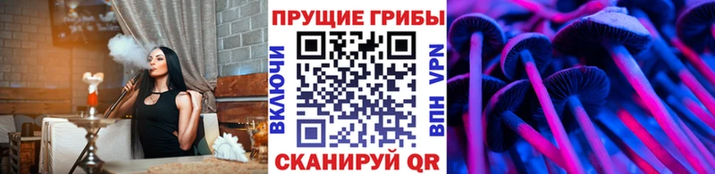 дарнет шоп  Белово  Псилоцибиновые грибы Magic Shrooms 