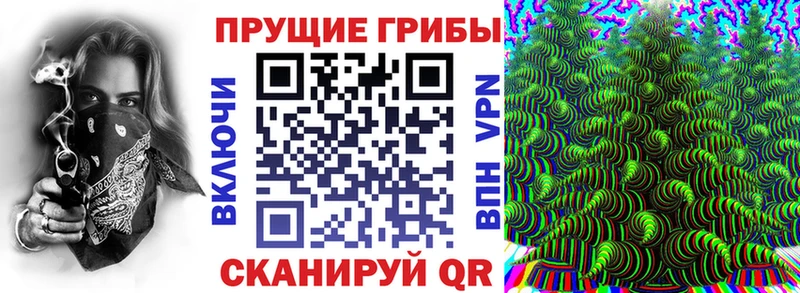 Псилоцибиновые грибы прущие грибы Белово