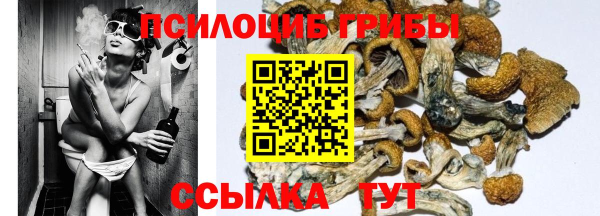 Белово  Псилоцибиновые грибы MAGIC MUSHROOMS  Вход с VPN 