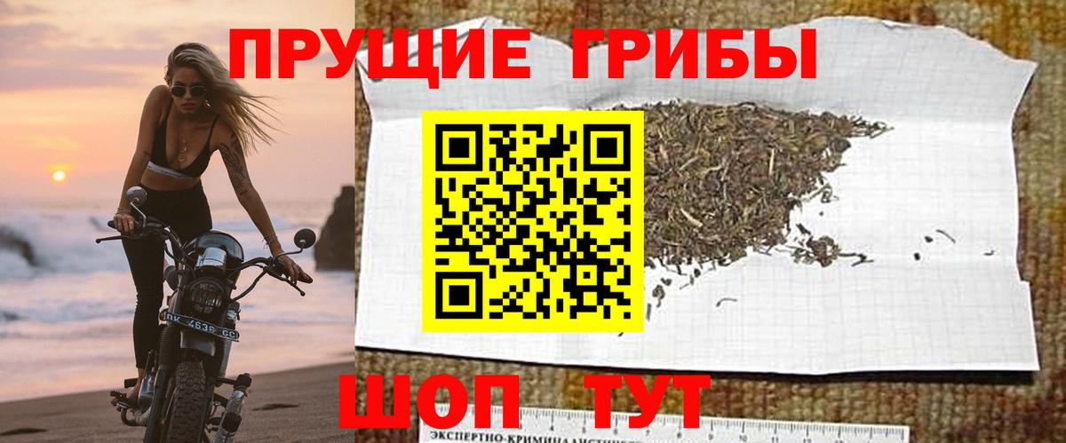 Галлюциногенные грибы мицелий Белово