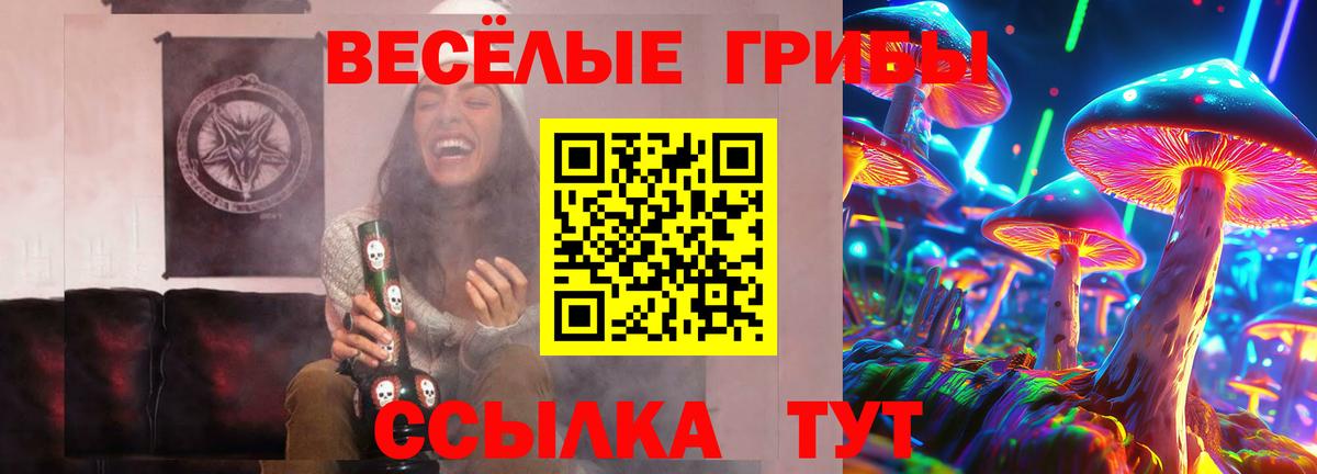 Псилоцибиновые грибы MAGIC MUSHROOMS  Галлюциногенные грибы Psilocybine cubensis  Белово 